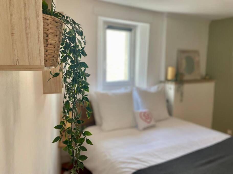 La Bellevue X Parking By Melrose Apartment Bayeux Bagian luar foto